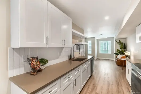 1652 N Lafayette Street #2, Denver, CO 80218