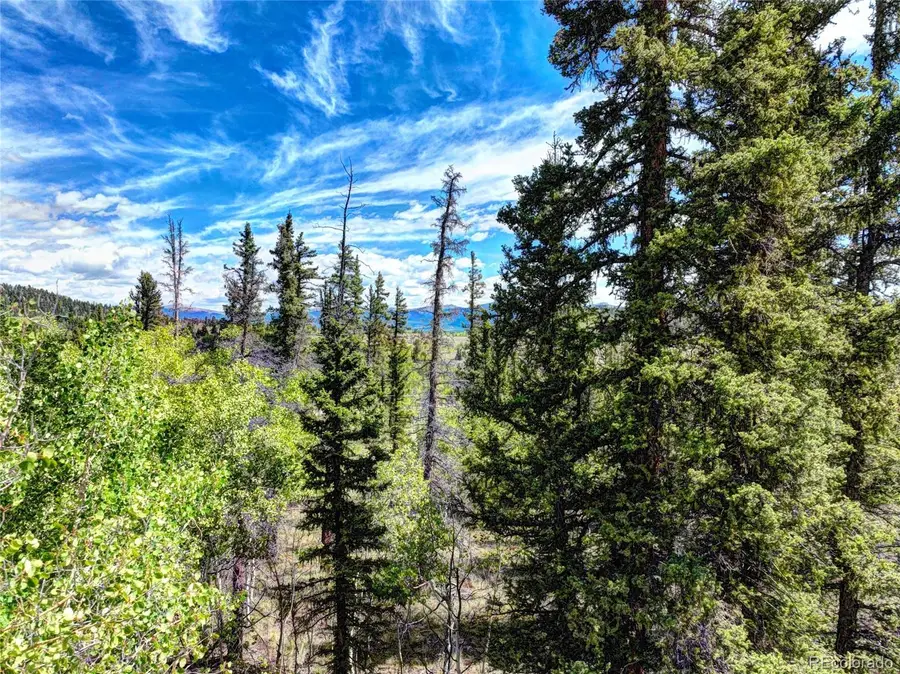 860 Shoshone Drive, Como, CO 80456 - #3