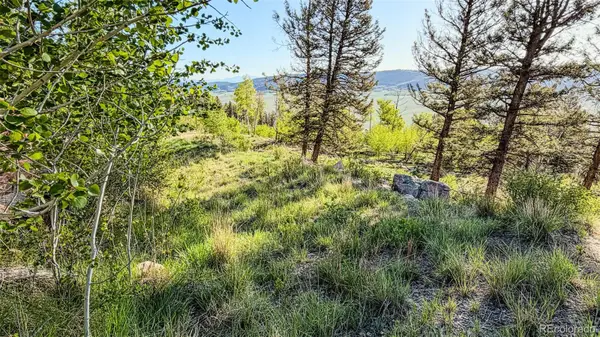 4924 Middle Fork Vista, Fairplay, CO 80440