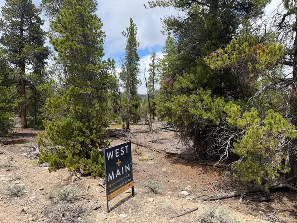 341 Lodgepole Drive, Leadville, CO 80461