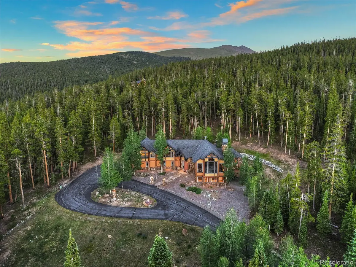 264 Little Sallie Barber Trail, Breckenridge, CO 80424 - #1