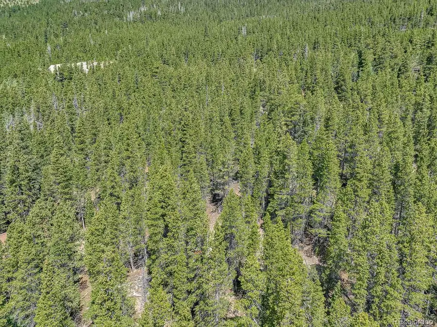 Lot 836 Nebraska Drive, Idaho Springs, CO 80452 - #2