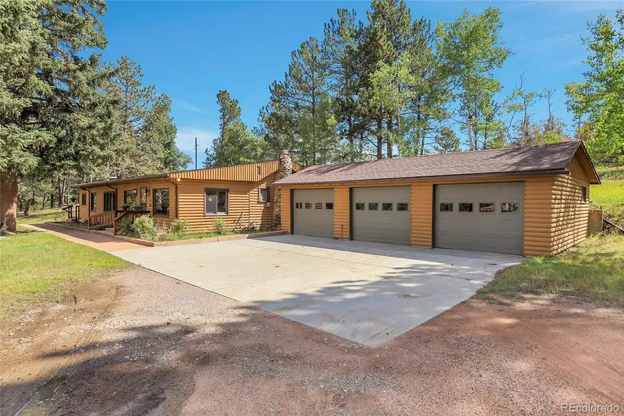 13009 S Parker Avenue, Pine, CO 80470 - #2