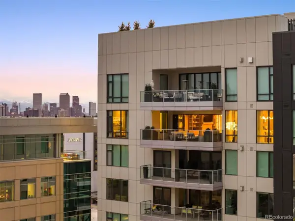 155 Steele Street #1117, Denver, CO 80206