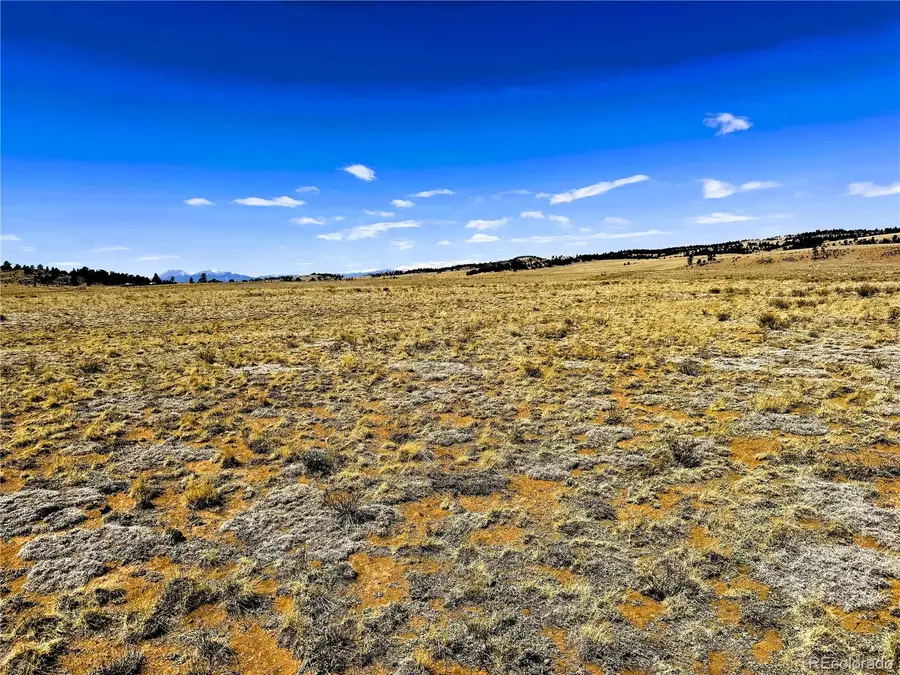 Lot 52 Gila Way, Hartsel, CO 80449 - #3