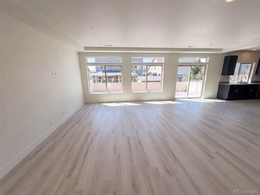 19036 Randolph Place, Denver, CO 80249 - #3