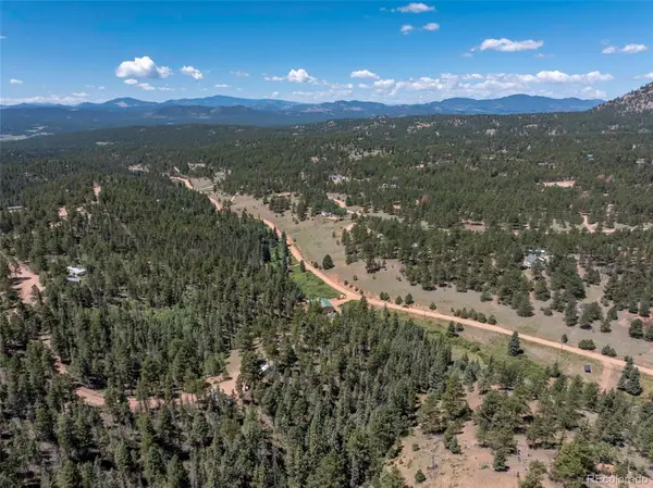 1676 Pathfinder Road, Florissant, CO 80816