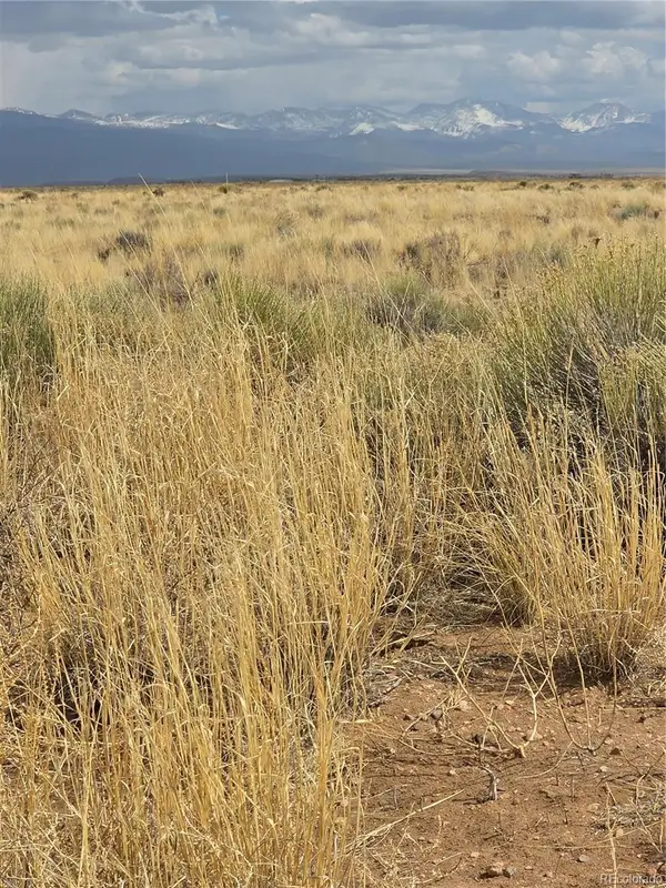 Lot 17 E Denver Rd., Blanca, CO 81123