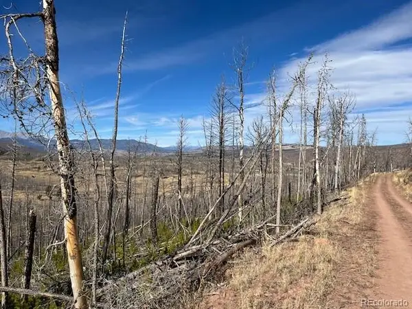 Lot 1741 Mathlide Place, Fort Garland, CO 81133