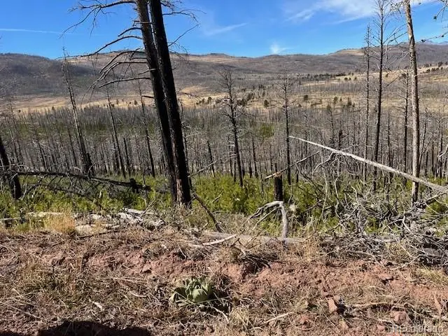 Lot 1741 Mathlide Place, Fort Garland, CO 81133 - Image #2