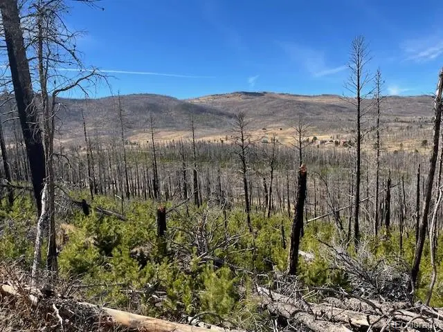 Lot 1741 Mathlide Place, Fort Garland, CO 81133 - Image #3