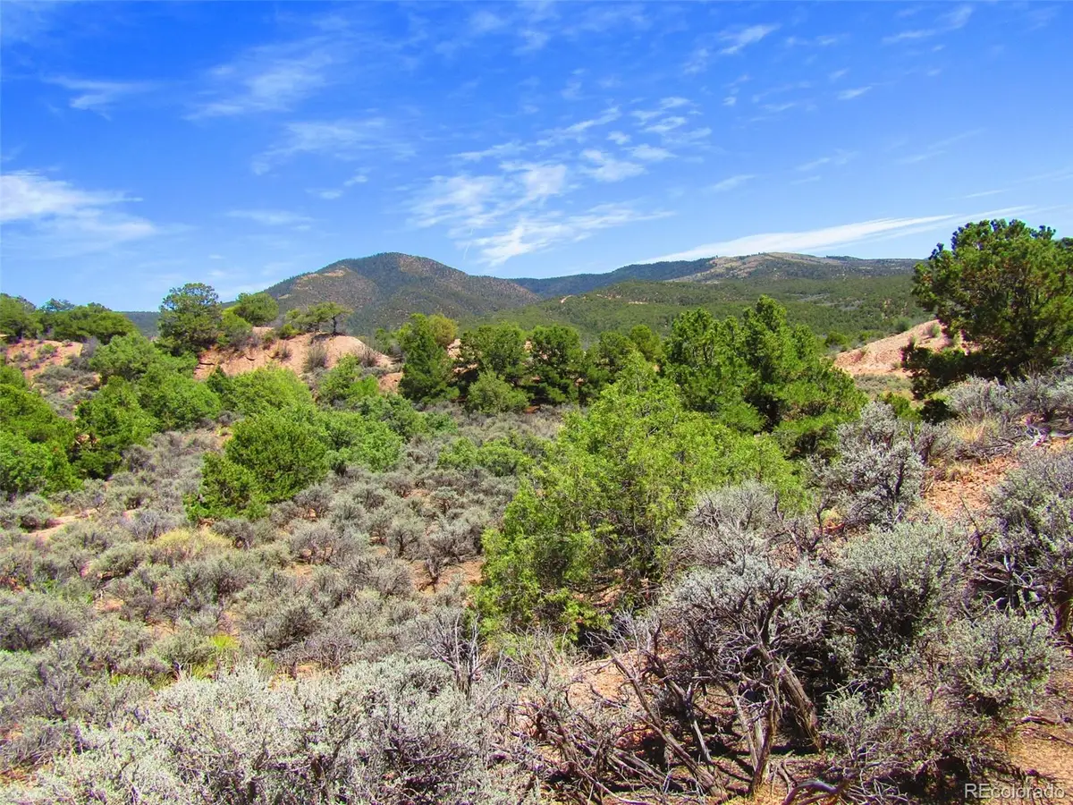Lot 1617 Juarez Road, San Luis, CO 81152 - #1