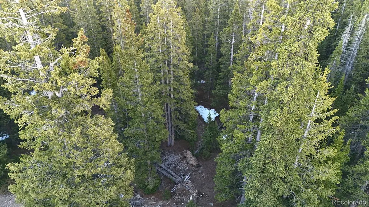 252 Silverheels Place, Fairplay, CO 80440 - #1