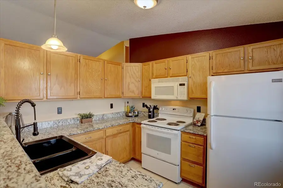 162 S Tilbury Avenue, Castle Rock, CO 80104 - Image #3