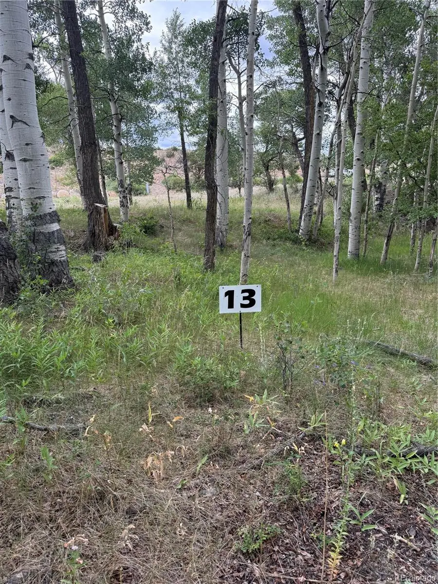 17566 Trout Circle, Buena Vista, CO 81211 - Image #2