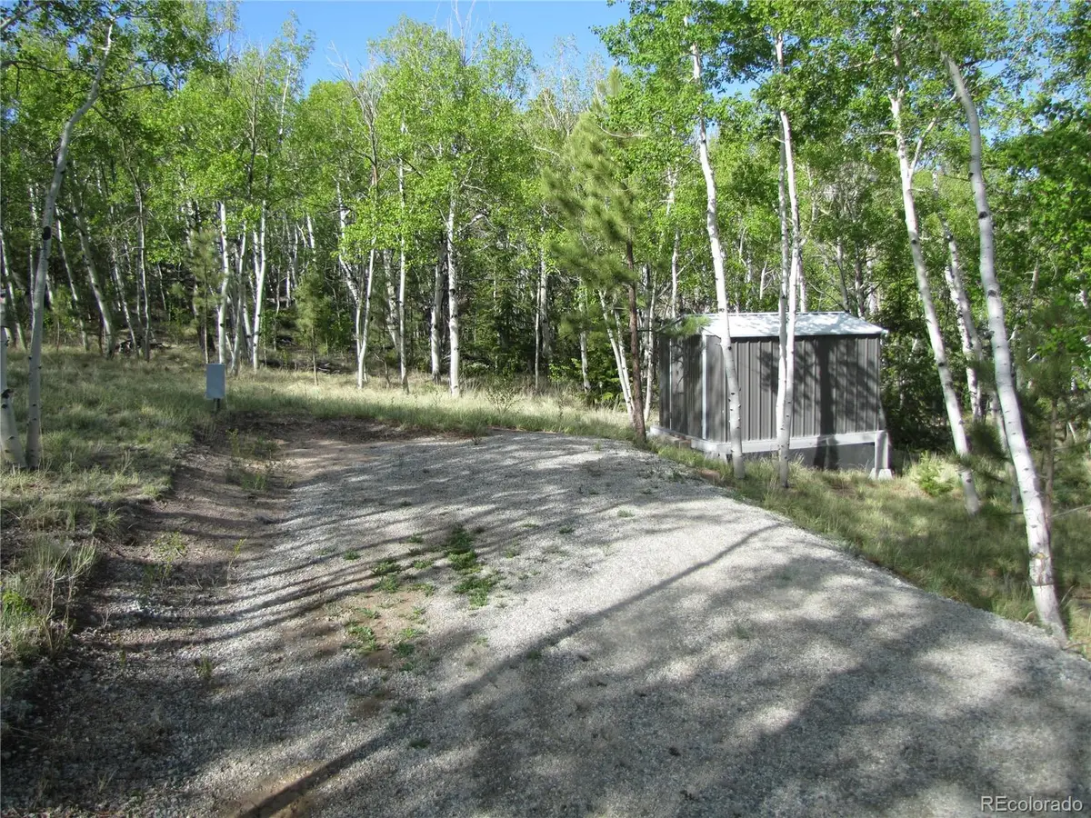 944 Brahma Circle, Hartsel, CO 80449 - #1