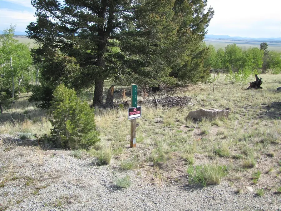 944 Brahma Circle, Hartsel, CO 80449 - #2