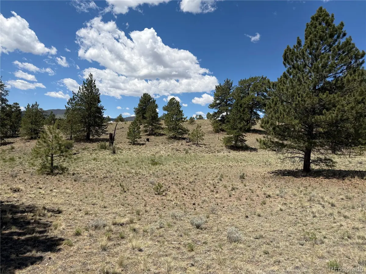 595 Bridle Path, Hartsel, CO 80449 - #1