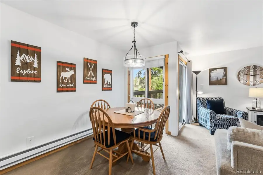 423 Wild Irishman Road #13202, Dillon, CO 80435 - #3
