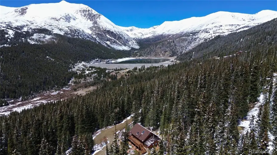 232 Goldfinch Place, Alma, CO 80420 - #3