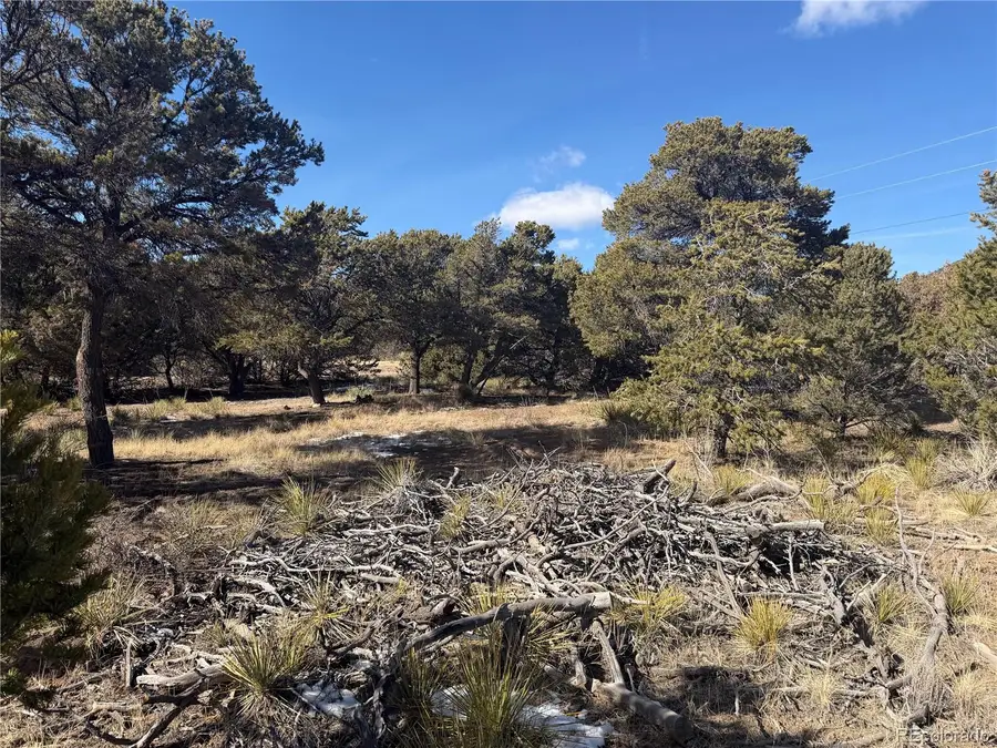 390 Cameron Pass Road, South Fork, CO 81154 - #3