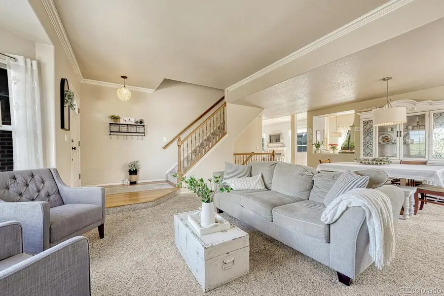 5629 Whiskey River Drive, Colorado Springs, CO 80923 - #3
