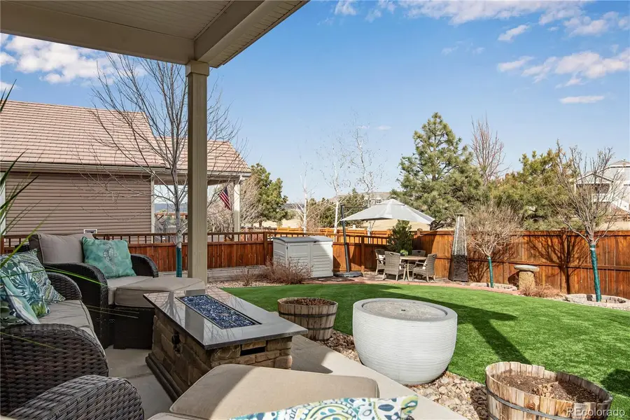 1994 Candleglow Street, Castle Rock, CO 80109 - #3