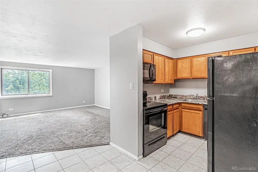 1366 Garfield Street #505, Denver, CO 80206 - #3