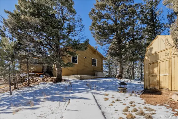 730 Cheyenne Creek, Lake George, CO 80827