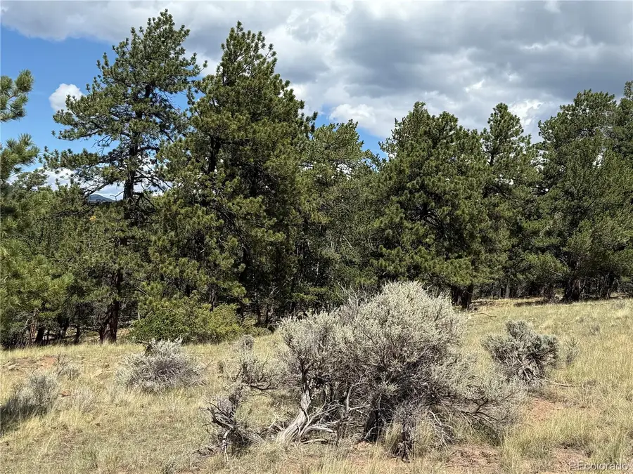 Lot 291 Kline Lane, Fort Garland, CO 81133 - #2
