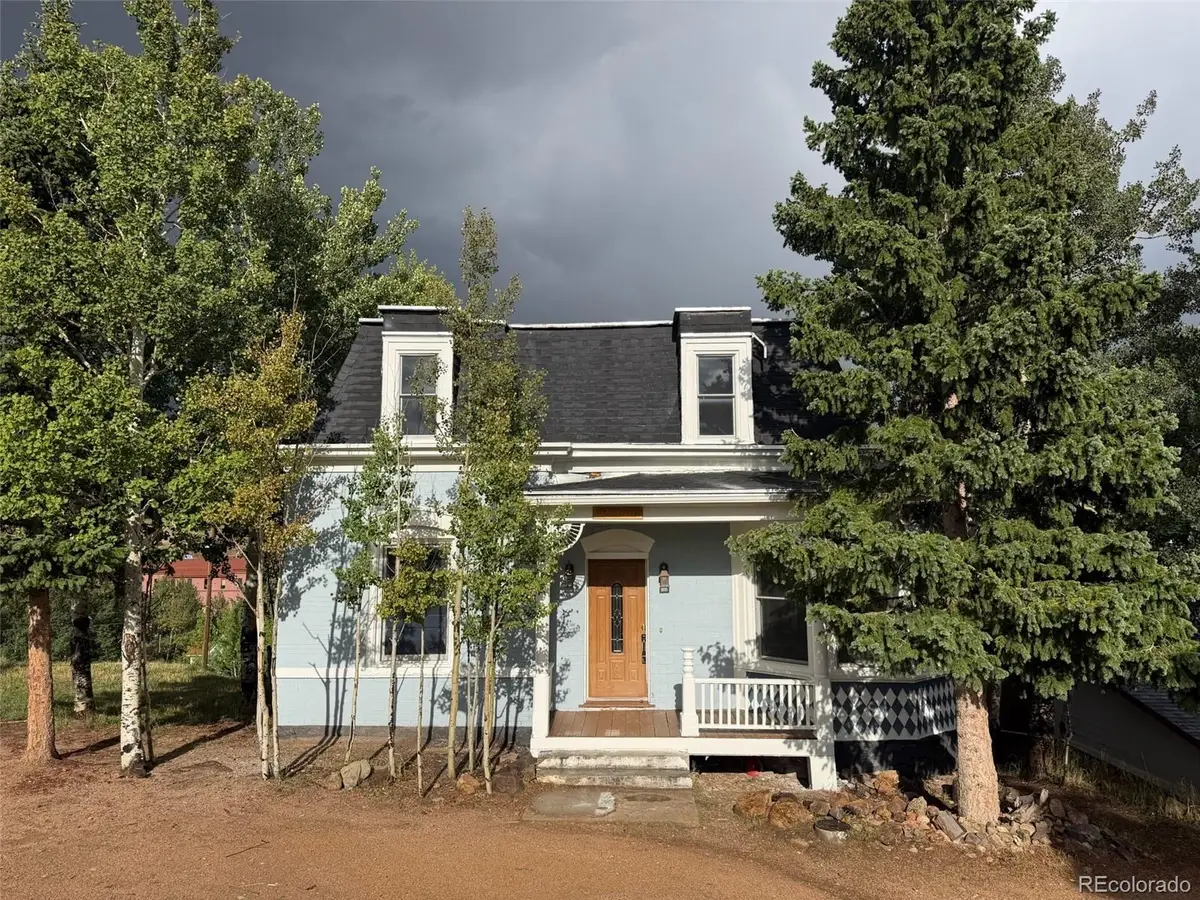 106 Porphyry Street, Cripple Creek, CO 80813 - #1