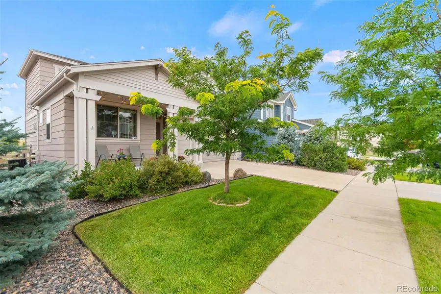 23300 York Avenue, Parker, CO 80138 - #2