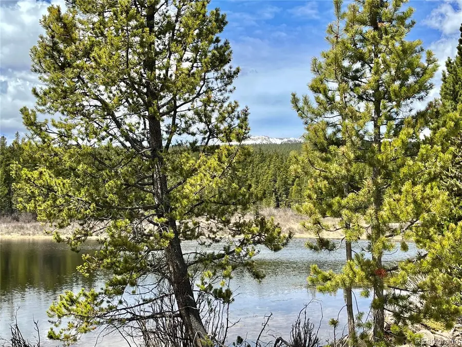 2203 Lakeside Drive, Fairplay, CO 80440 - #2