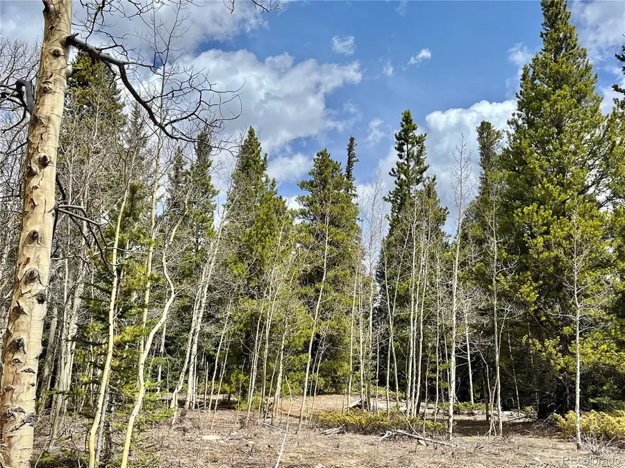 2203 Lakeside Drive, Fairplay, CO 80440 - #3