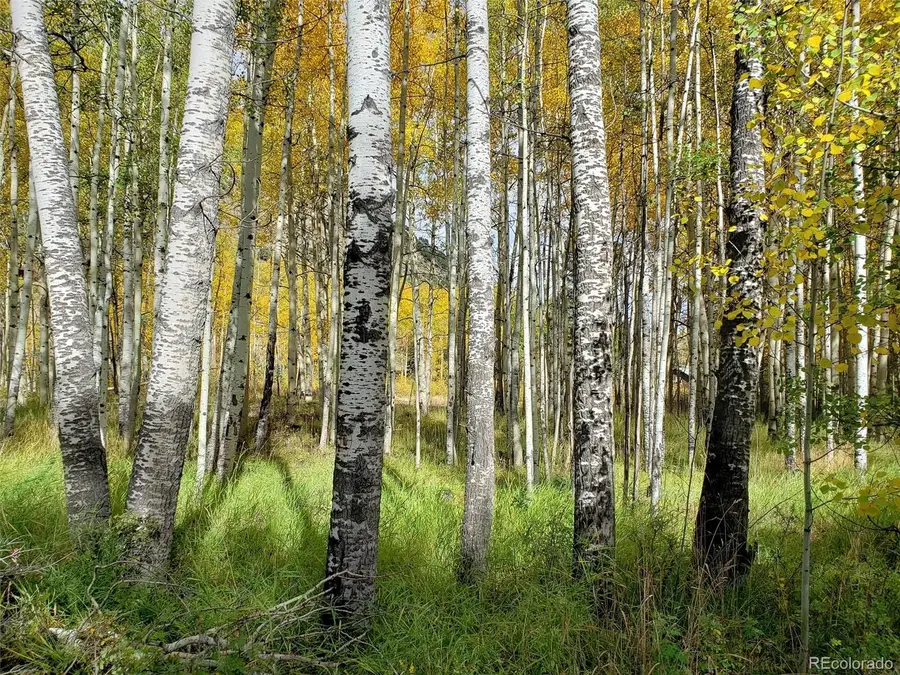 1080 Brahma Circle, Hartsel, CO 80449 - #3