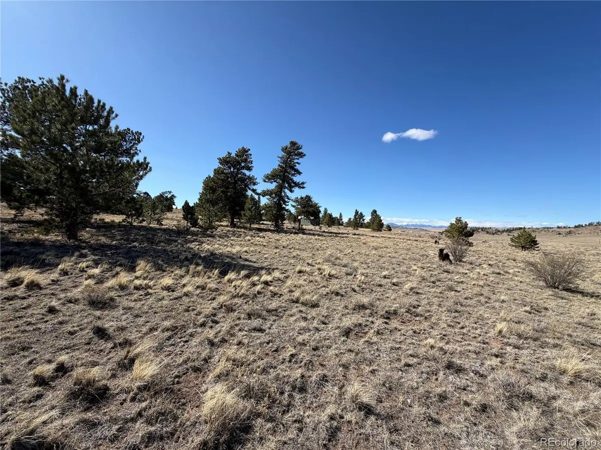 616 Guipago Trail, Hartsel, CO 80449 - #1