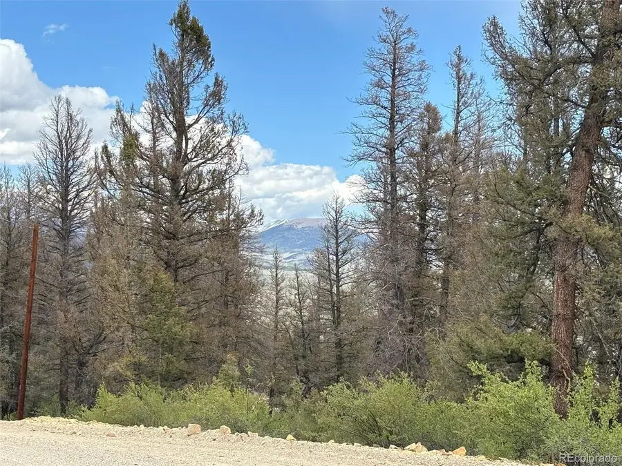 225 Trout Creek Lane, Fairplay, CO 80440 - #3