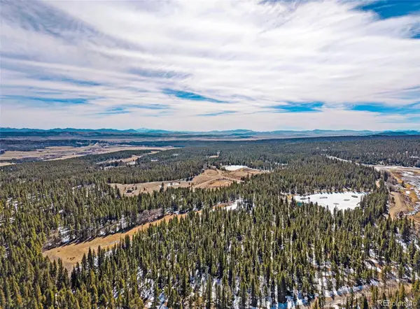 122 Arts Pike, Fairplay, CO 80440