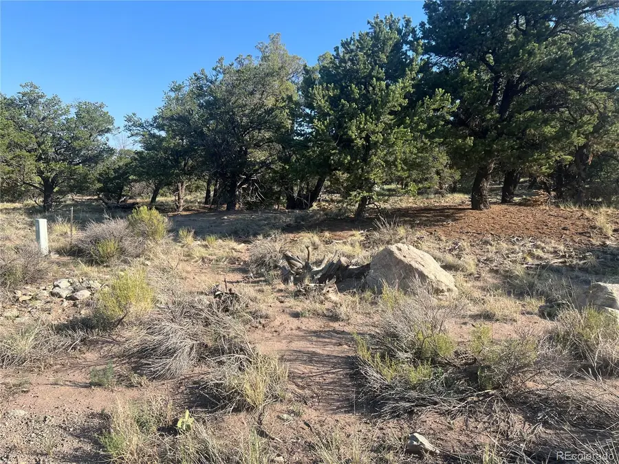 4351 Rarity Way, Crestone, CO 81131 - #2