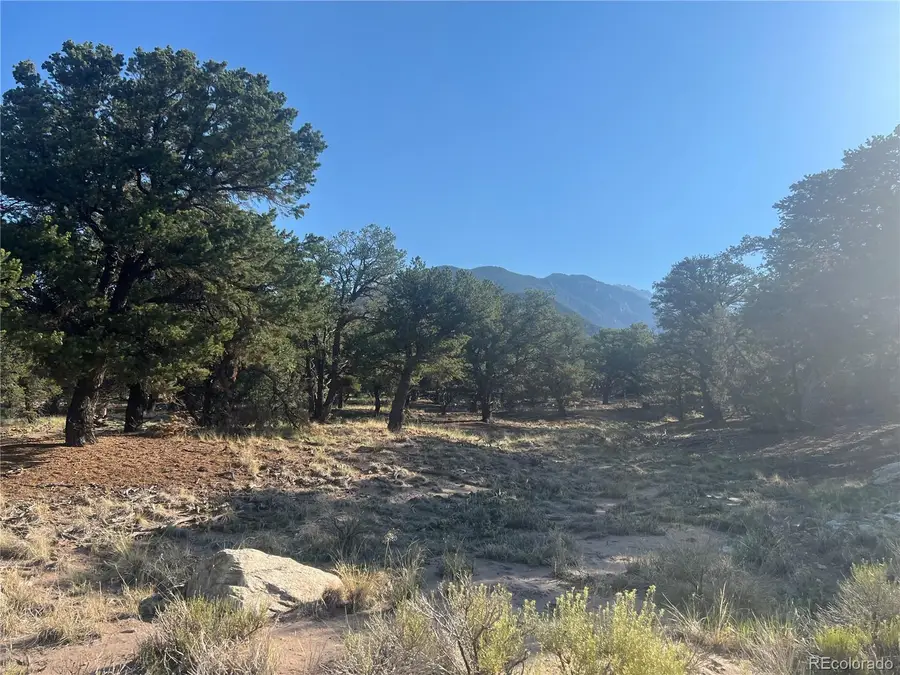 4351 Rarity Way, Crestone, CO 81131 - #3