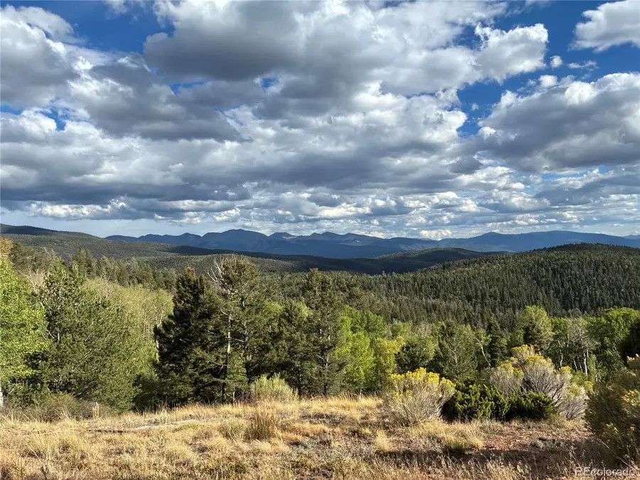LOT 5597 Nettler Road, San Luis, CO 81152 - #2