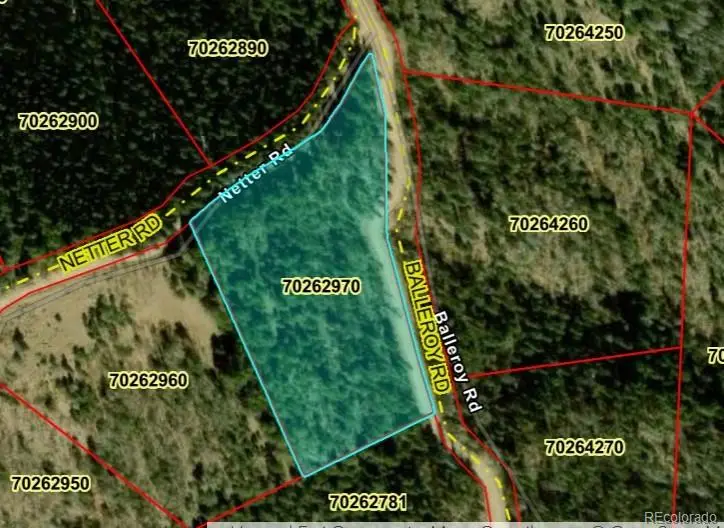 LOT 5597 Nettler Road, San Luis, CO 81152 - #3