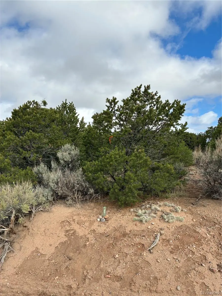 Lot 1057 Hotchkiss Road, Fort Garland, CO 81133 - Image #1