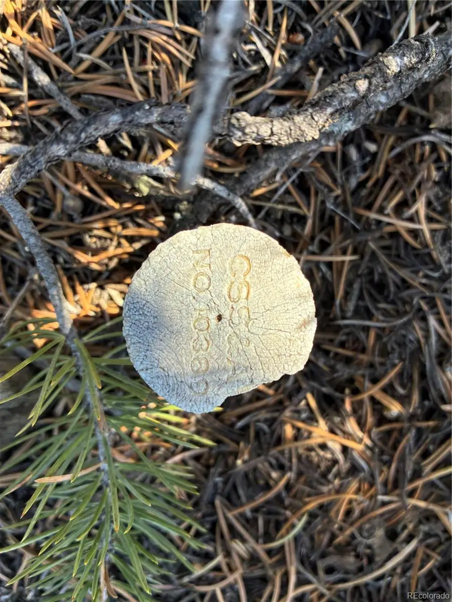 Lot 1057 Hotchkiss Road, Fort Garland, CO 81133 - Image #3