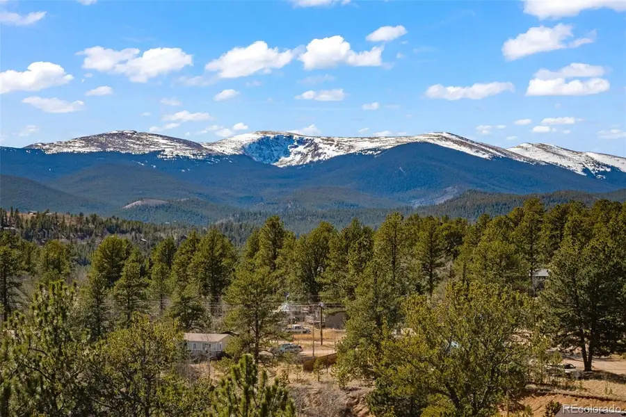 211 Appleby Street, Bailey, CO 80421 - #2