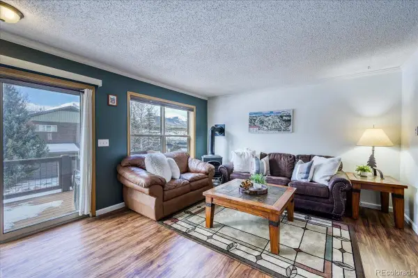 746 W Anemone Trail, Dillon, CO 80435