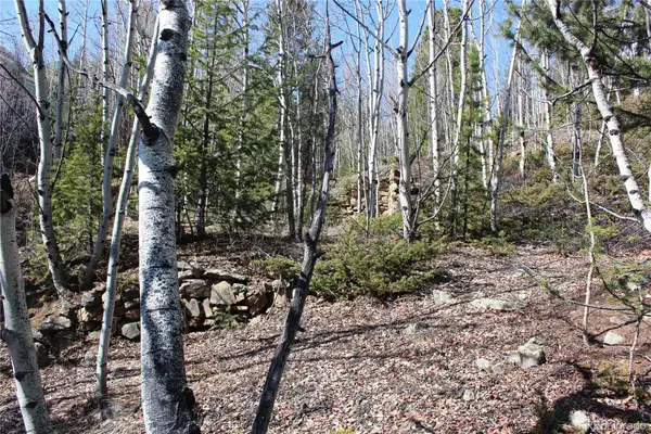 00 Spruce Street, Central City, CO 80427