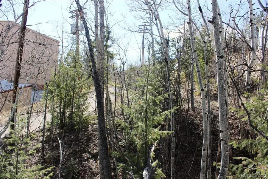 00 Spruce Street, Central City, CO 80427 - #2