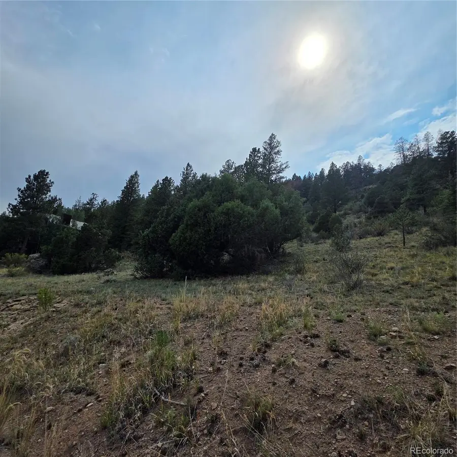 1139 Rio Grande Club Trail, South Fork, CO 81154 - #2