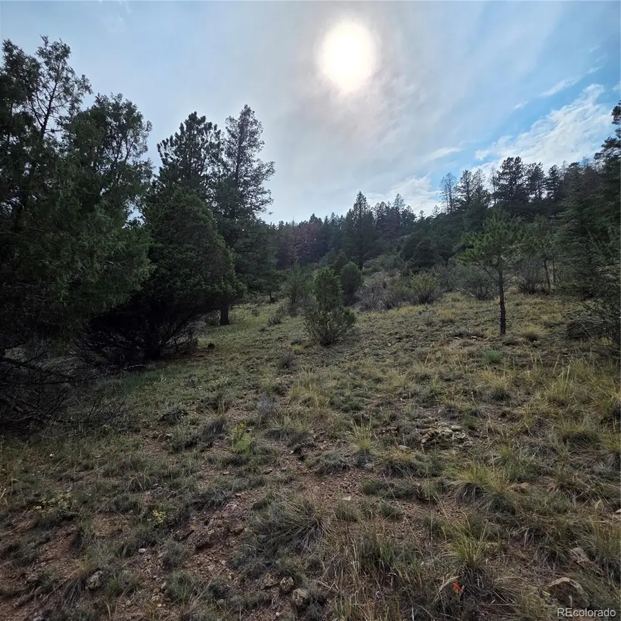 1139 Rio Grande Club Trail, South Fork, CO 81154 - #3